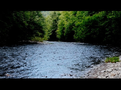 River Wild 11