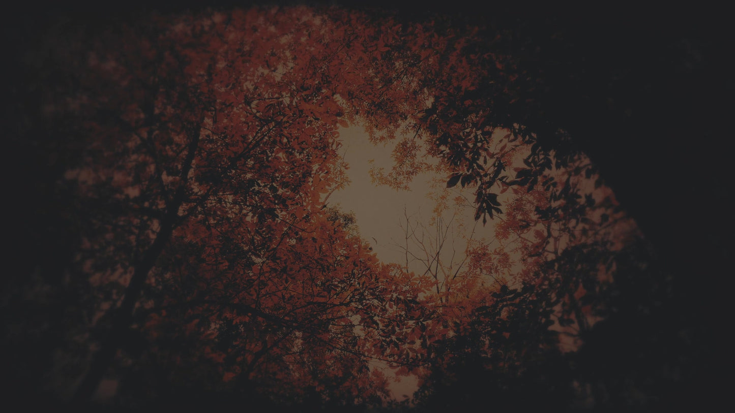 Autumn Fire Conflagration Subdued