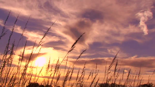 Big Sky Sunset