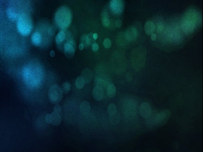 Arctic Dream 6 Motion