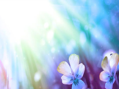 Floral Bloom 10