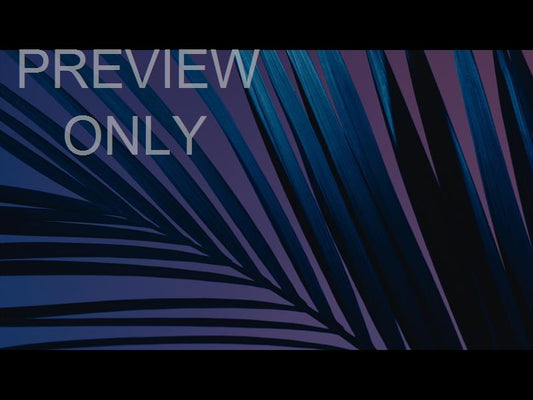 Cinematic Palms Still 4