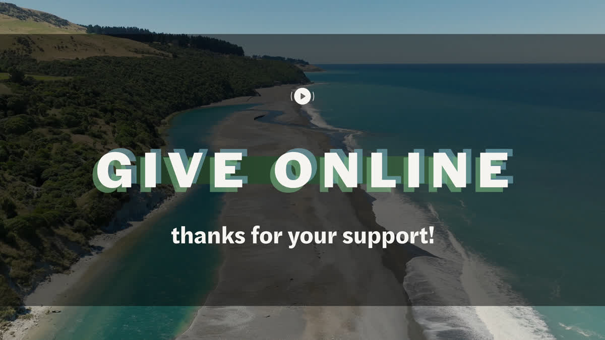 Kiakoura Give Stream