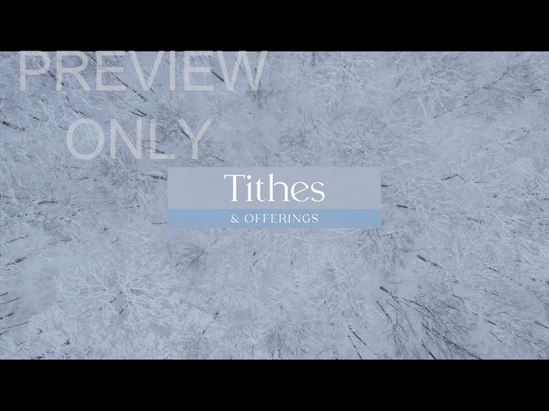 Winter Woods Tithes Still