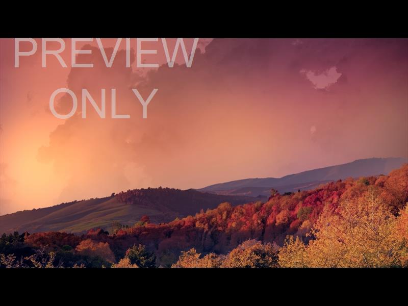 Wilderness Fall 3 Still