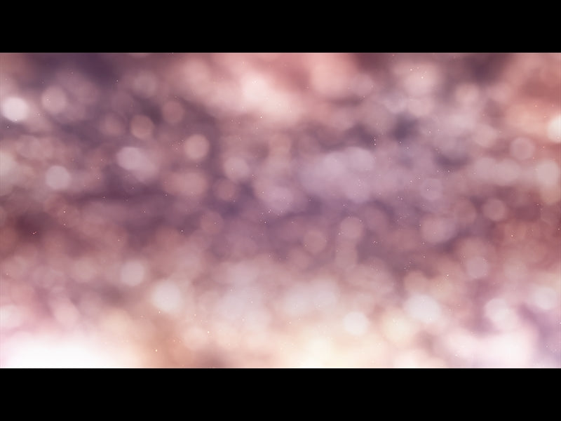 Christmas Light: 9