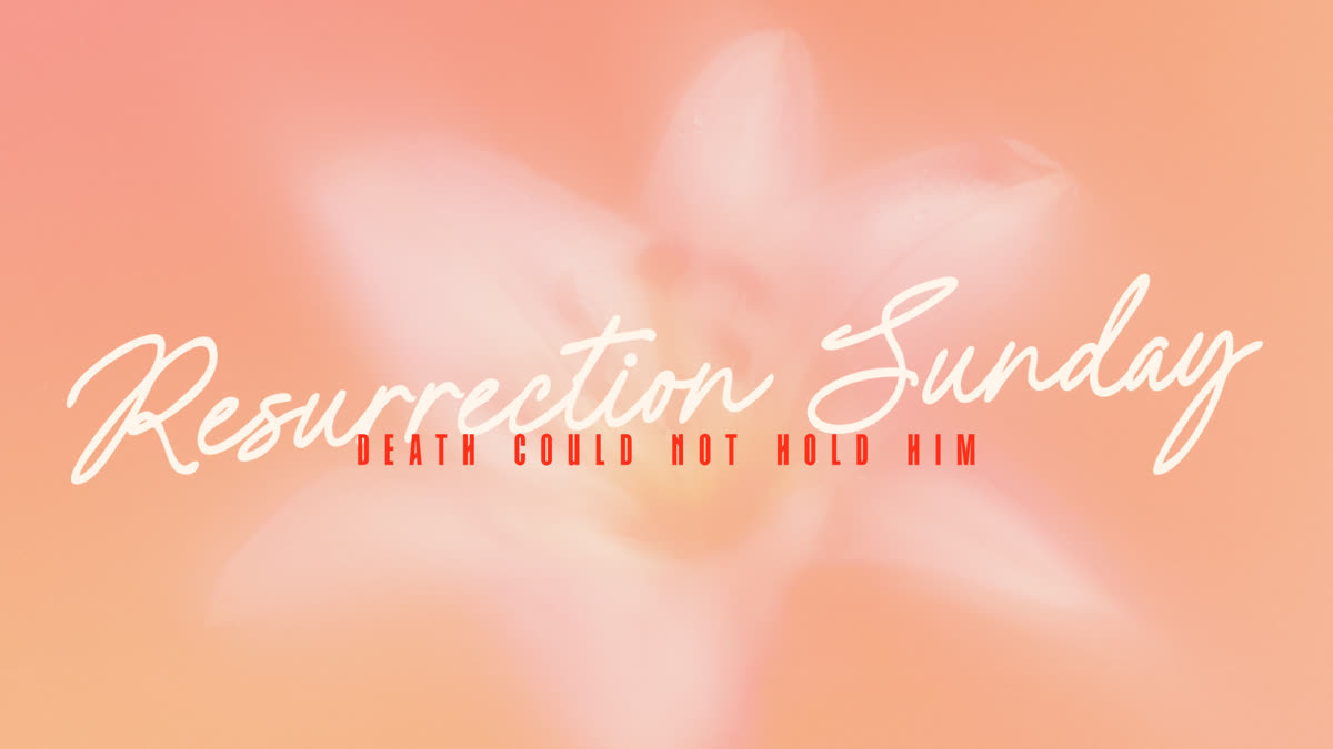 Living Hope Still Ressurrection Sunday