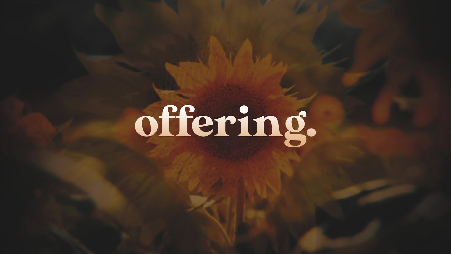 Vintage Sunflowers Offering