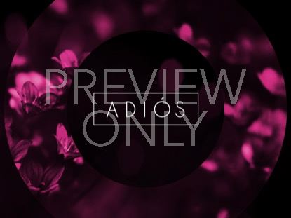 Light Of Grace Closing Still -