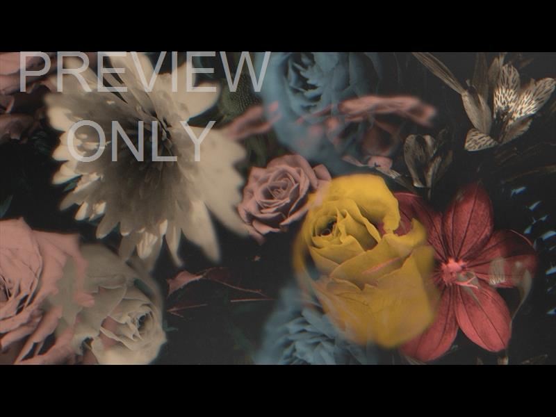 Deep Beauty Still 02