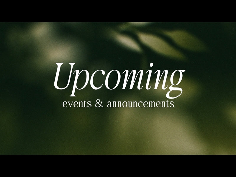 Autumn Again Upcoming