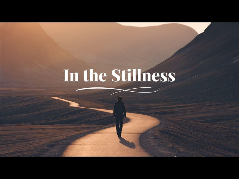 In The Stillness
