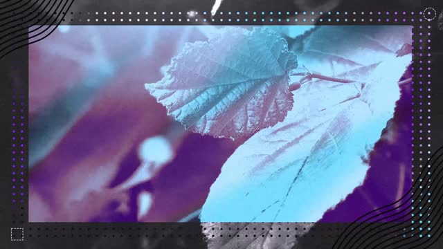 Wonder Background 01
