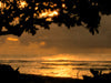Island Splendor 20