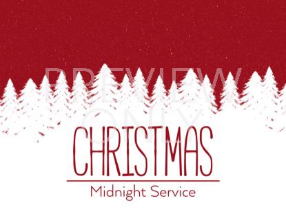 Winter Spruce Midnight Still