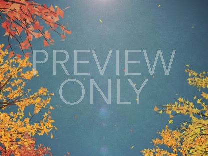 Digital Autumn Passing Trees