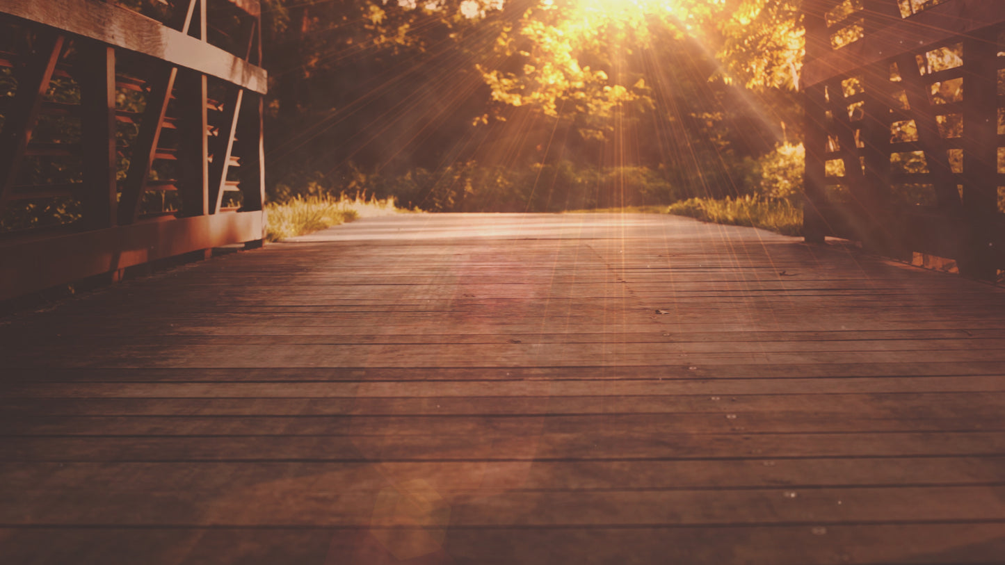 Summer Light Bridge Still