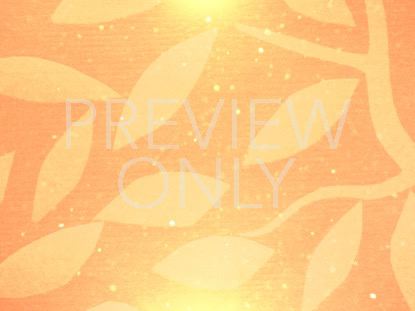 Seasonal Display Still 3