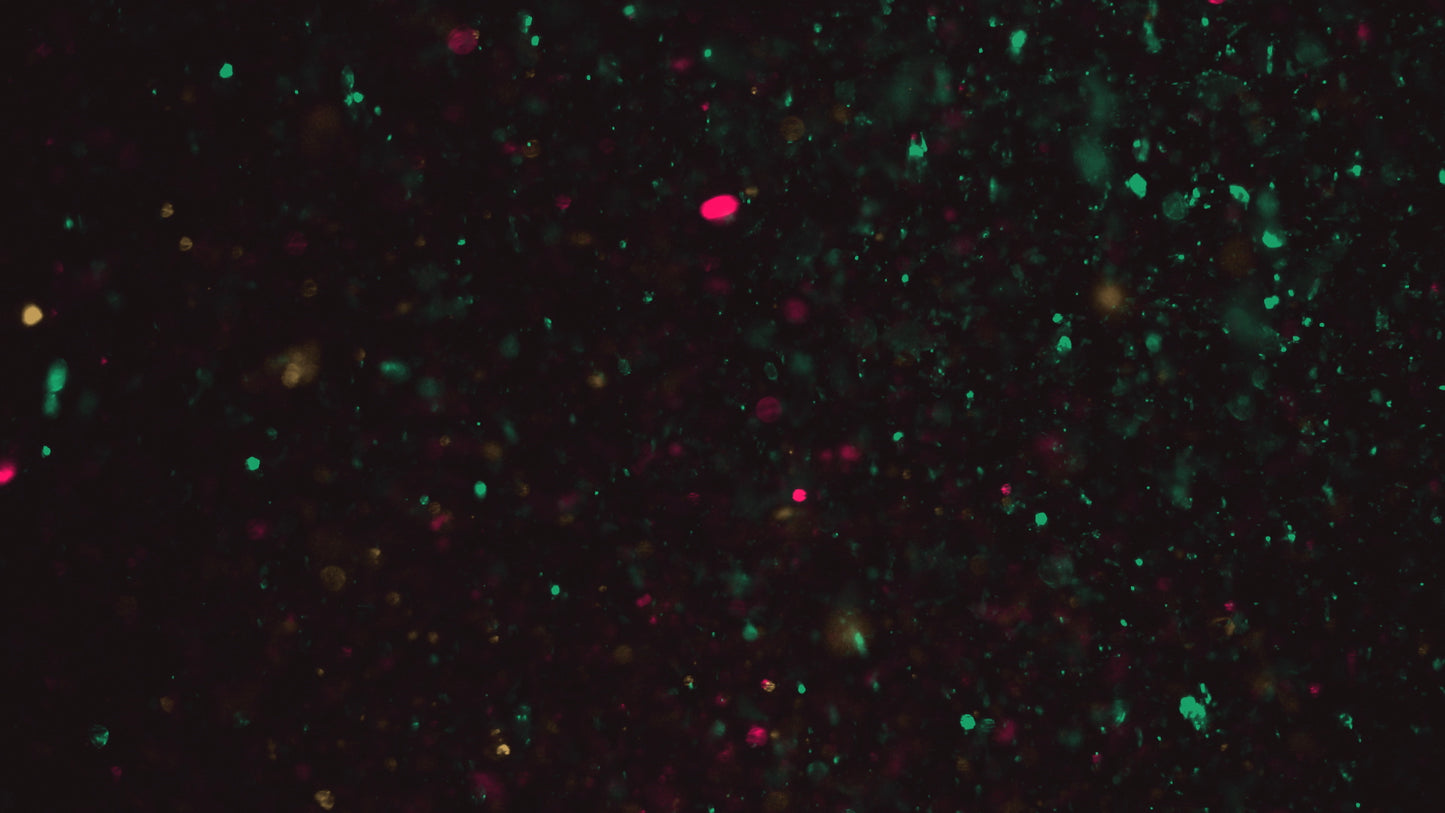 Christmas Glitter 09 Still