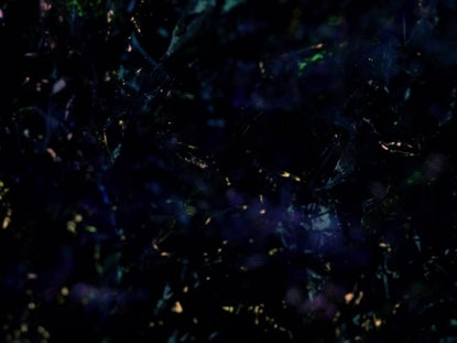 Black Ice 2