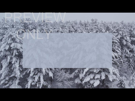 Winter Woods Drift Rectangle Still
