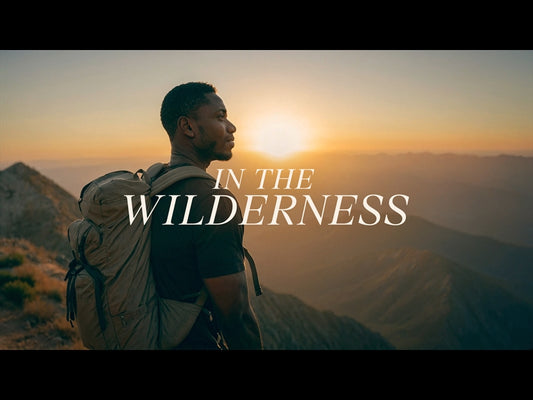 In The Wilderness