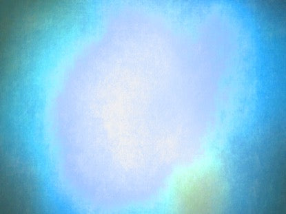 Natures Beauty 12 Motion