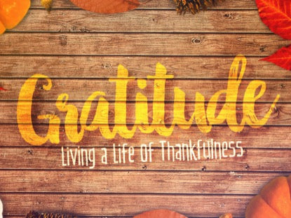 Gratitude Title Motion