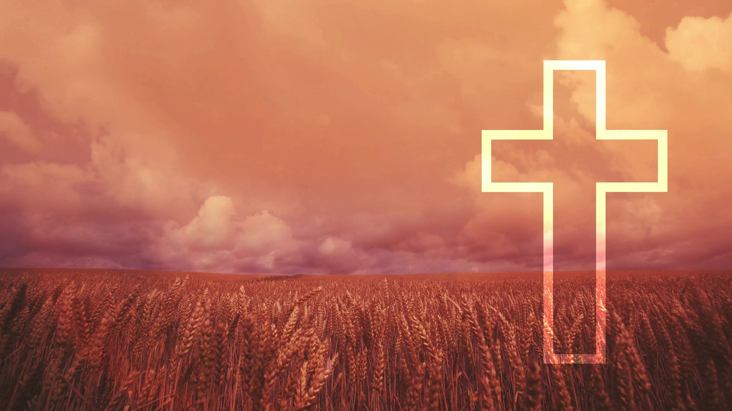 Golden Hour Cross Still