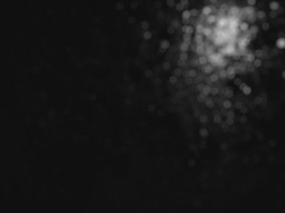 Black And White Falling Sparkles