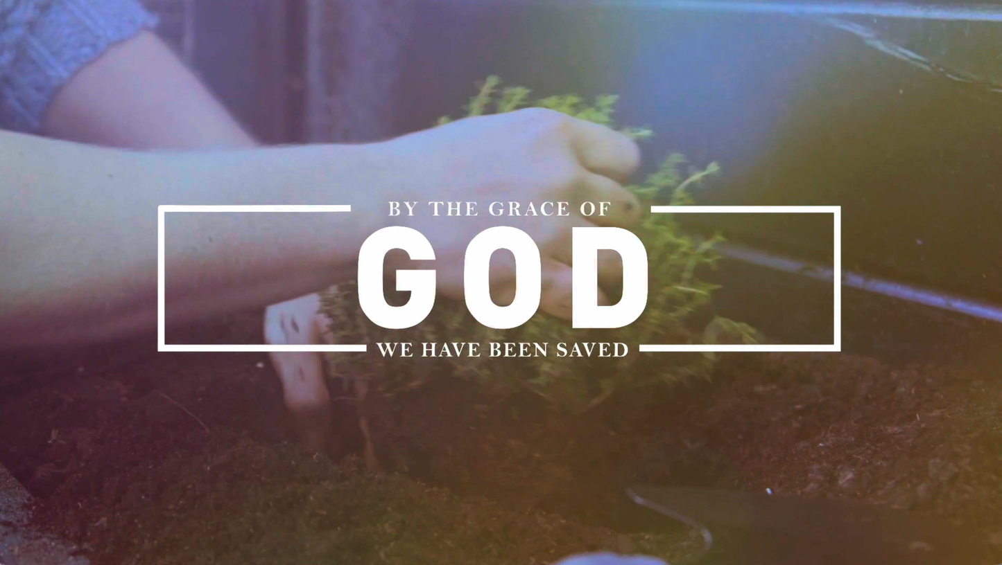 2 Peter Growing in Grace