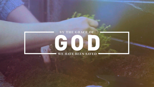 2 Peter Growing in Grace