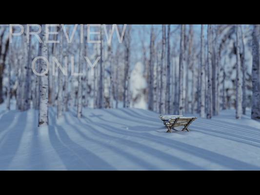 Christmas Joy: Still Manger 03