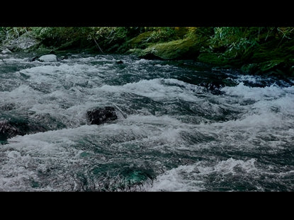 River Wild 3