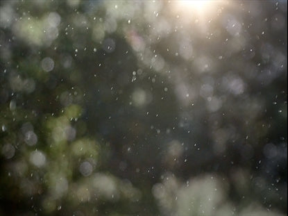 Winter Snow 15