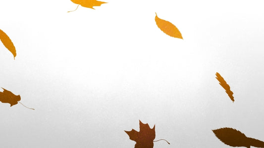 Painted Autumn 05