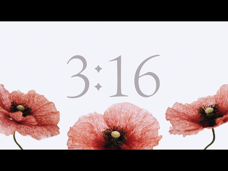 Patriotic Poppies: Countdown