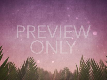 Palm Sunday Branches Purple