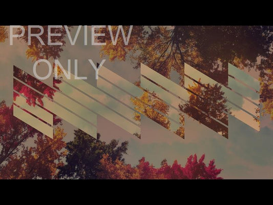 Fall Trees 5 Remix Still