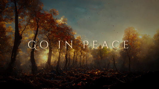 Autumn Skynet Exit Still