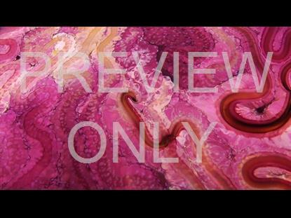 Chameleon  Teaching Still 02