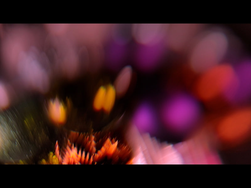 Christmas Ornamental 19