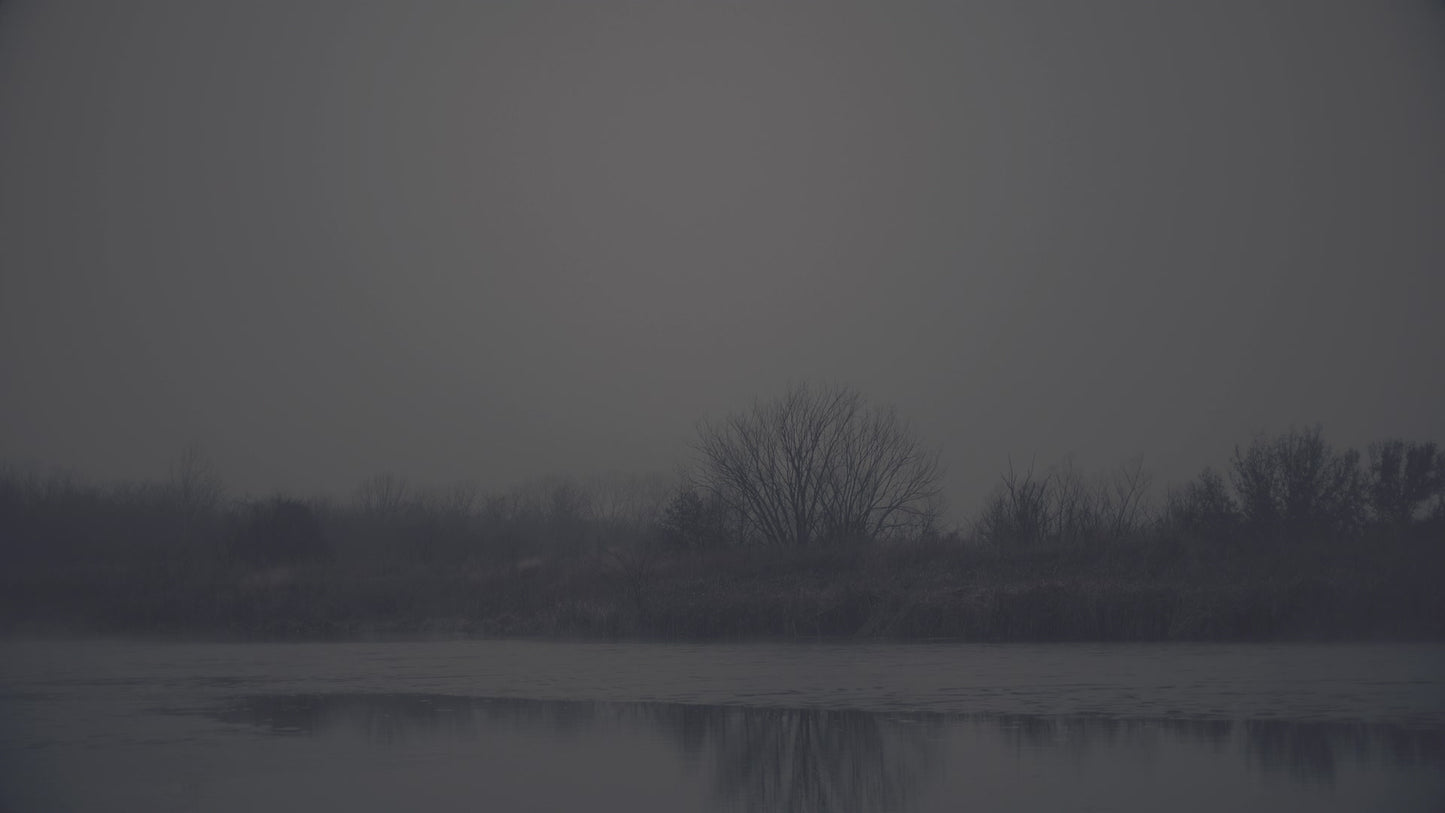 Bleak Beauty Shoreline Fade Still