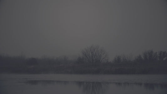 Bleak Beauty Shoreline Fade