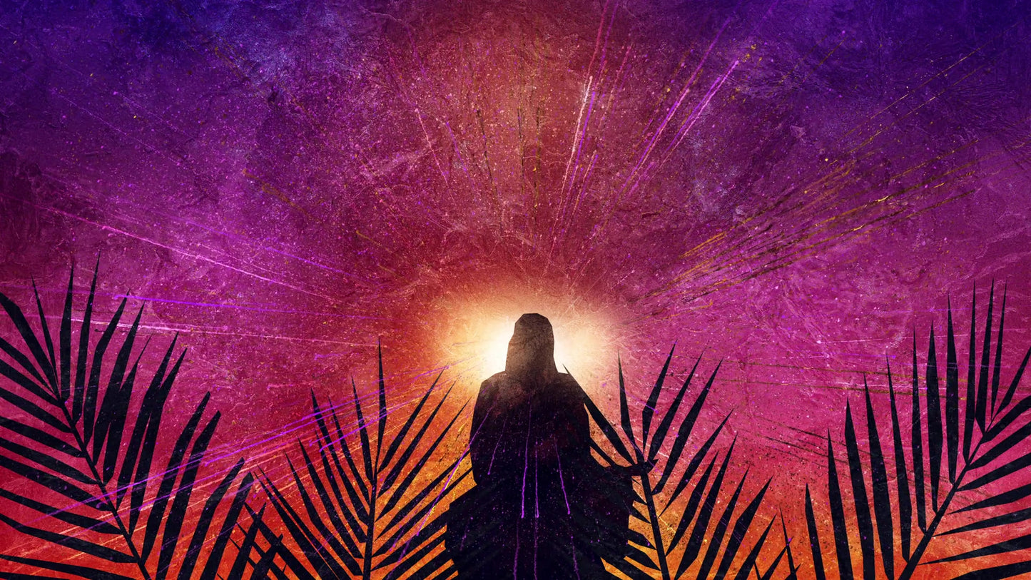 Vivid Palm Sunday 10 Still