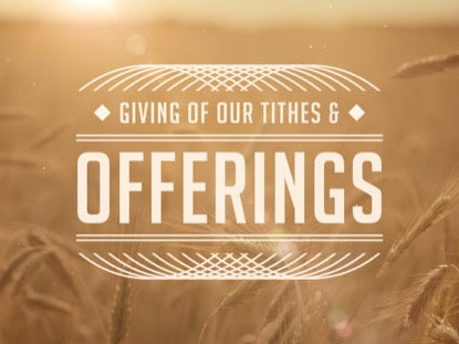 Summer Wheat Tithes Offerings