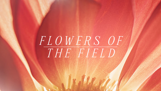 Flowers Of The Field Collection
