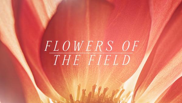 Flowers Of The Field Collection
