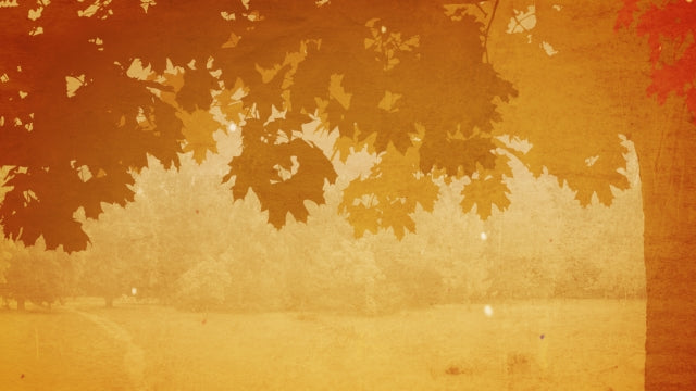 Fall Colors 02