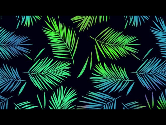 Darkness Turned To Light: Palm Sunday 1